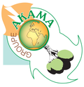 Groupe AKAMA